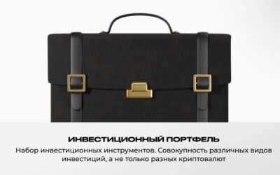 Портфель инвестора: виды инвестиций, их основы, структура и отличия.